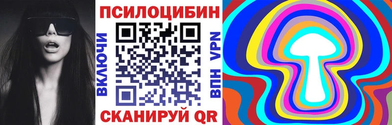 Псилоцибиновые грибы мухоморы  купить наркотики сайты  Шебекино 