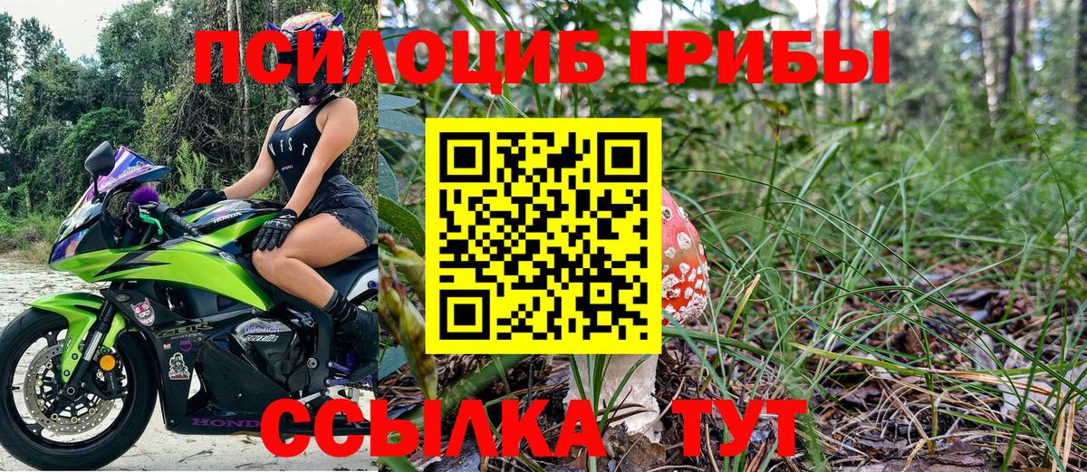 Псилоцибиновые грибы Cubensis  Вход с VPN  Шебекино 